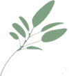 Sage Icon